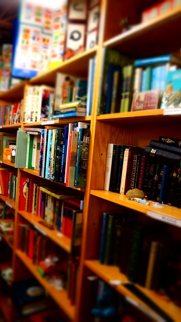 books-1379185_640