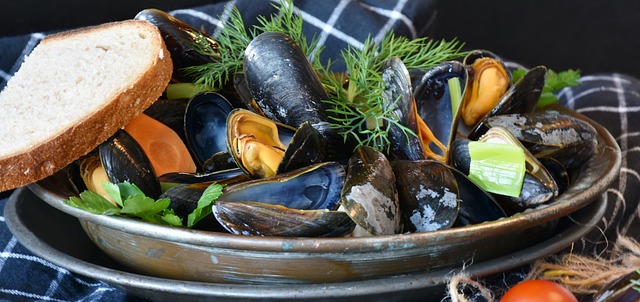 mussels-3148439_640
